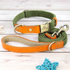 Personalized Nylon Puppy Collar - PMMNAPOLES