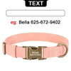 Personalized anti-lost dog collar - PMMNAPOLES