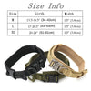 Large dog harness and leash set - PMMNAPOLES