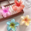 Four vibrant flower hair clips in a wooden box