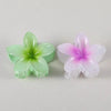 Two pearl white flower hair clips on white background