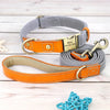 Gray personalized nylon puppy collar with leash