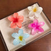 Vibrant rainbow flower hair clips on wood