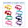 Adjustable pet collar - PMMNAPOLES