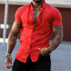 Elastic short sleeve lapel shirt