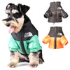 Winter clothes for dogs - PMMNAPOLES