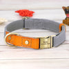 Gray personalized nylon puppy collar