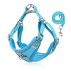 Small dog harness and leash set - PMMNAPOLES