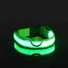 Safety dog collar with LED light - PMMNAPOLES