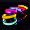 LED Anti-Lost Dog Collar - PMMNAPOLES