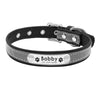 Black leather cat collar with name tag