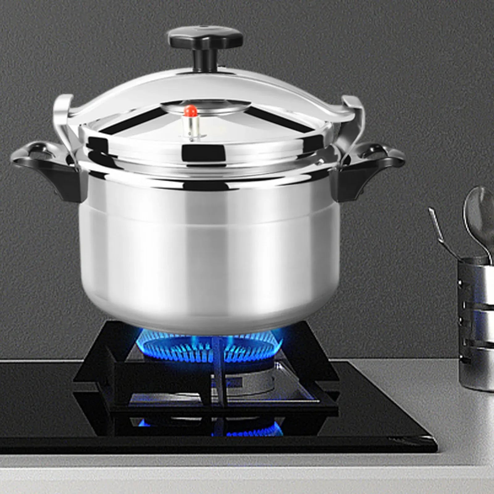 Pressure Cooker Mini 3.17 Qt High Pressure Aluminum Pot