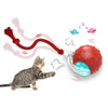 Motion Sensor Activated Cat Rolling Balls - PMMNAPOLES