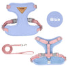 Puppy harness and leash - PMMNAPOLES