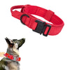 Red tactical dog collar on a dog