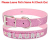 Personalized dog collar - PMMNAPOLES