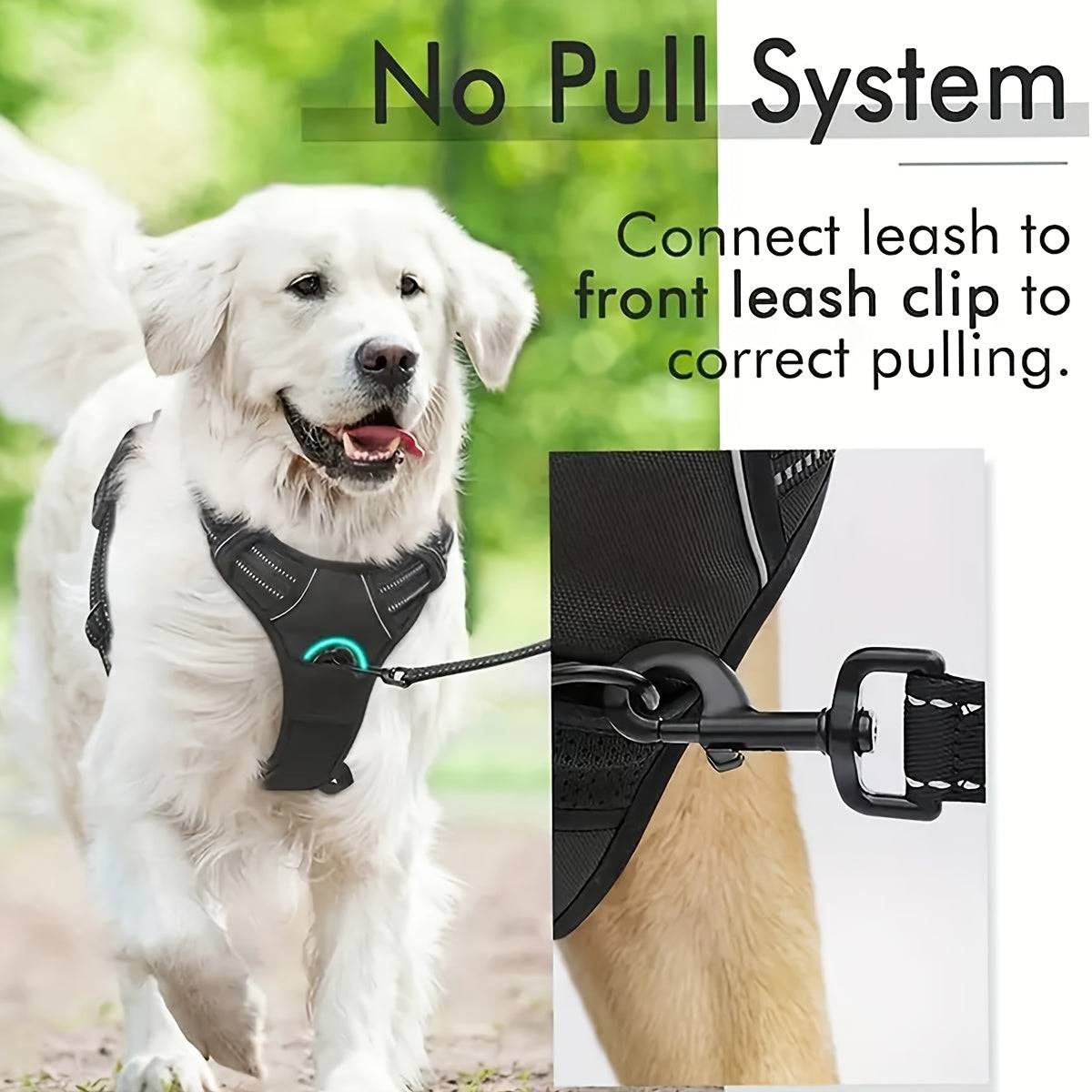 No-pull dog harness set with 5ft leash, foldable water bowl, poop bag holder, for walking, camping, running, black