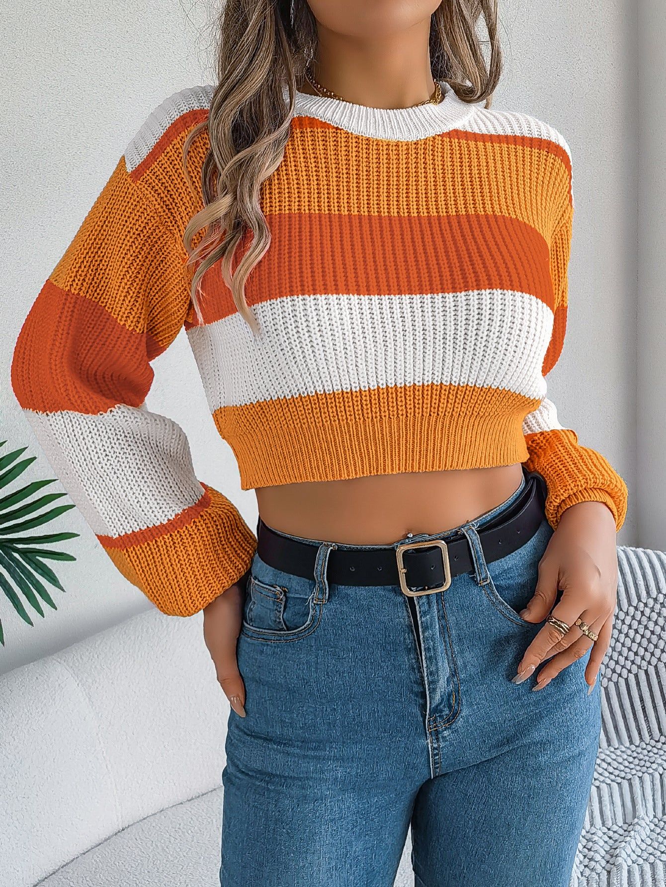 Color Block Cropped Sweater with Lantern Sleeves