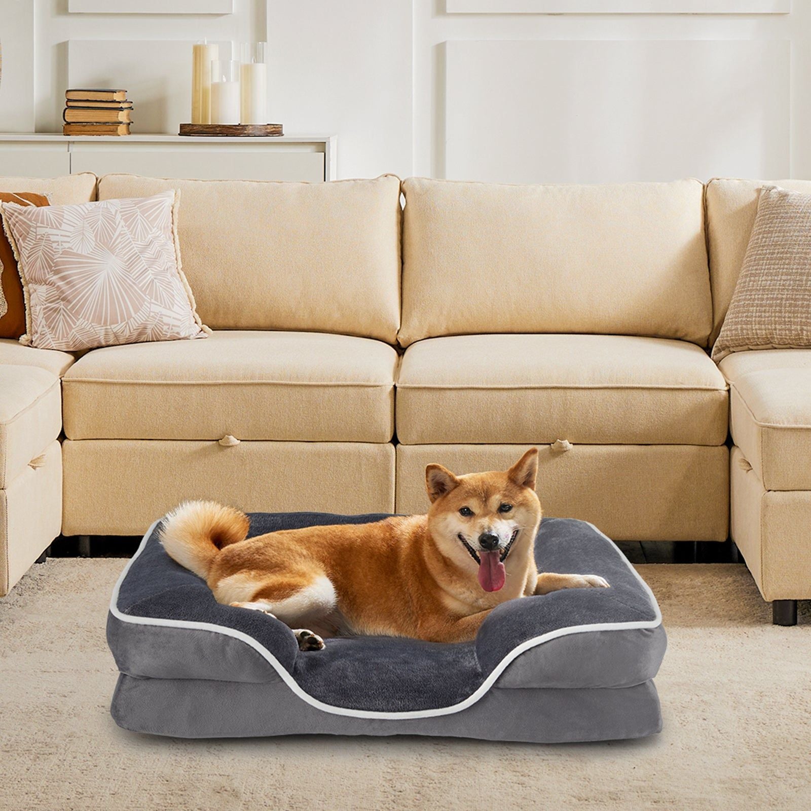 Orthopedic Dog Bed with Memory Foam Support