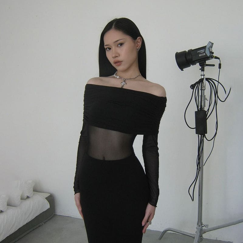 Off-shoulder Mesh Long Sleeve See-through Dress - PMMNAPOLES