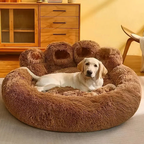 Pets