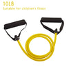 Resistance Bands With Handles for Exercise - PMMNAPOLES