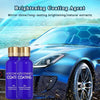 Paint coating solution for car cleaning - PMMNAPOLES