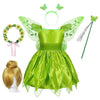 Disney Tinkerbell Costume for Girls - PMMNAPOLES